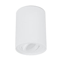 Surface Mounted Round Gimbal Downlight - SURFACE22