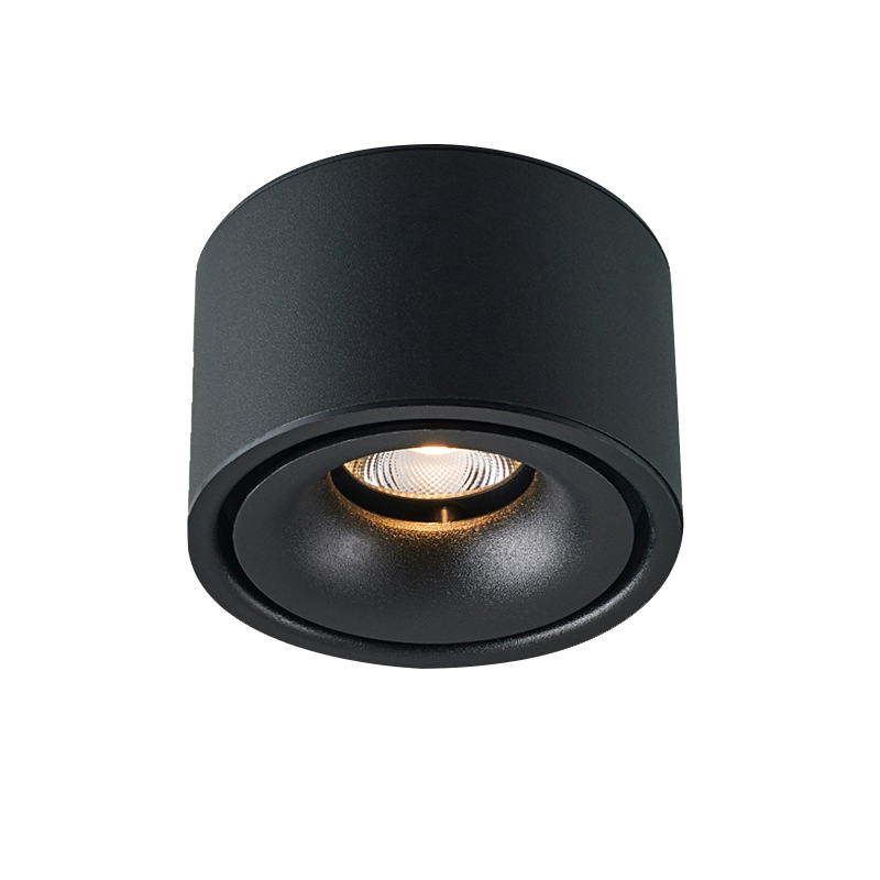 Surface Mounted Downlight Roun - DL1542-BKTC10C02