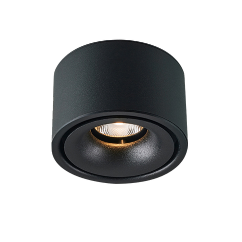 Surface Mounted Downlight Roun - DL1542-BKTC10C02