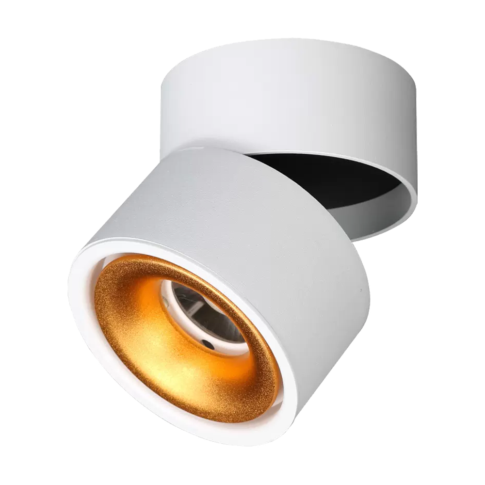 LED Adjustable Surface Mounted - DL3017-WHTC12C02G
