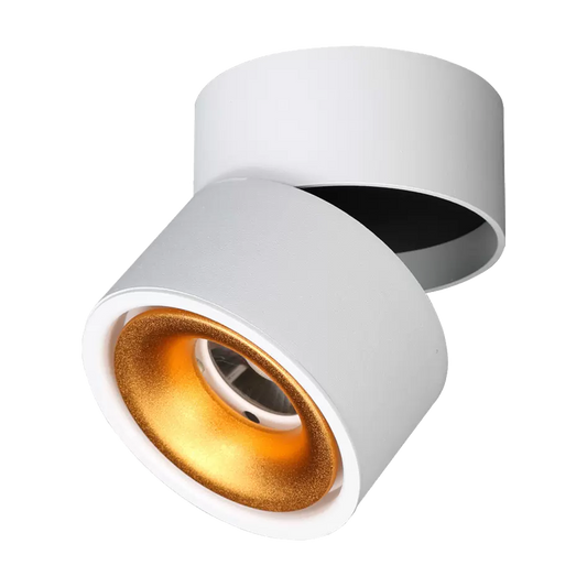 LED Adjustable Surface Mounted - DL3017-WHTC12C02G