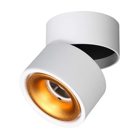 LED Adjustable Surface Mounted - DL3017-WHTC12C02G
