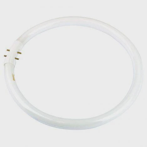 Fluorescent Tube T5 22 W Circular Triphosphor 5000K - NLS10182