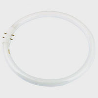 Fluorescent Tube T5 22 W Circular Triphosphor 5000K - NLS10182