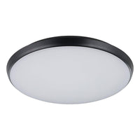 Ollie 2 18W/25W Dimmable LED Oyster Black / Tri-Colour - 206398