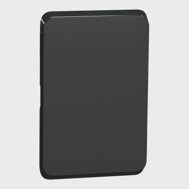 Clipsal Iconic Switch Plate Sk - 3040C-XB - ARCK Electrical Wholesale Supplies