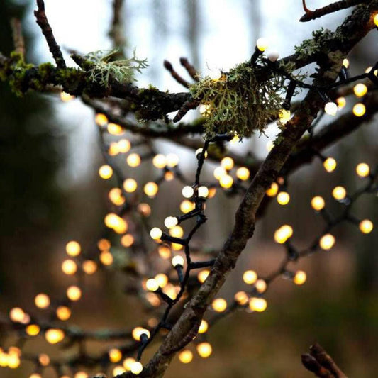 Berry Lights x700 LED Warm White 14m - 411351N