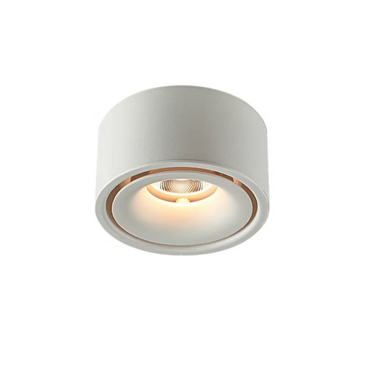 Surface Mounted Downlight Roun - DD1542-WHTC