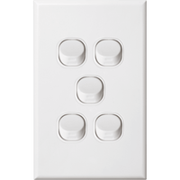 Standard 5 Gang Switch - DXWS5/V