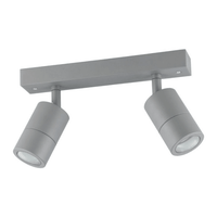 Fremantle 2 Light Adjustable Outdoor Ceiling Light Silver Grey -206157