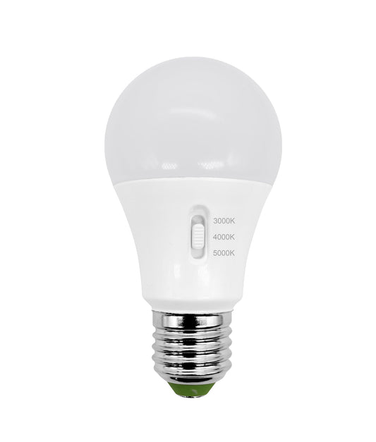 GLS LED Globes Frosted Diffuse - GLS27B