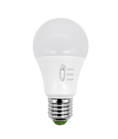 GLS LED Globes Frosted Diffuse - GLS27B