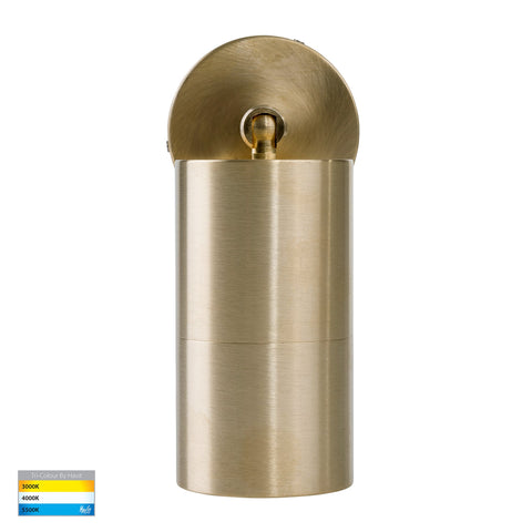 Tivah Solid Brass TRI Colour Single Adjustable Wall Pillar Lights - HV1255T