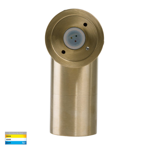 Tivah Solid Brass TRI Colour Single Adjustable Wall Pillar Lights - HV1257MR16T