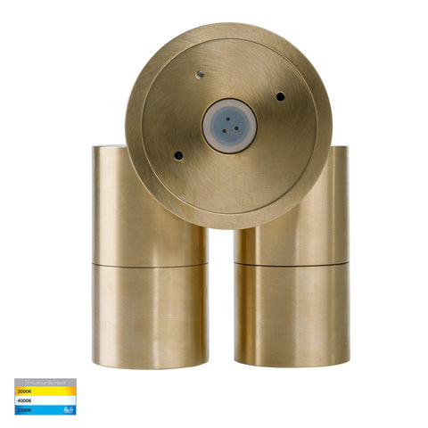 Tivah Solid Brass TRI Colour Double Adjustable Wall Pillar Lights - HV1357GU10T