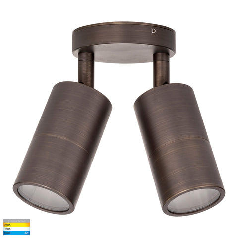 Double Adjustable Wall Pillar Light Antique Brass - HV1397GU10T