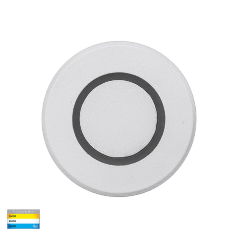 Brillo White Aluminium LED Wall or Inground Light - HV2894T-WHT-12V