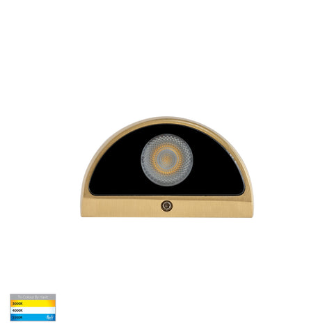Serres Solid Brass Surface Mounted LED Wall Light - HV3286T-BR-12V