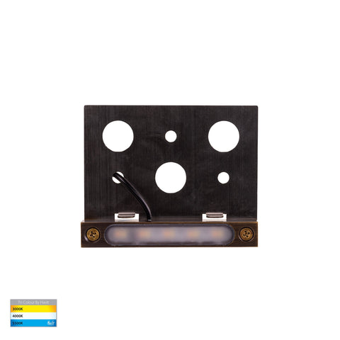 Preston Antique Brass LED Coping Light - HV3297T-AB-12V