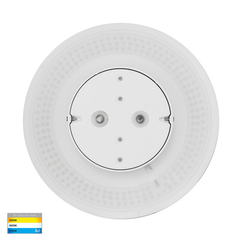 Halo White TRI Colour LED Wall Light - HV3593T-WHT-12V