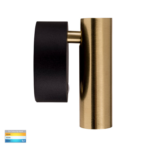 Lesen Black Brass Single Adjustable Wall Light - HV3689T-BLKBR