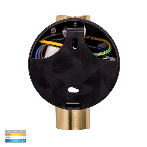 Lesen Black Brass Single Adjustable Wall Light - HV3689T-BLKBR