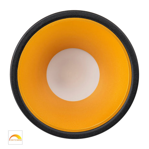 Gleam Black with Gold Insert Fixed Dim to Warm LED Downlight - HV5528D2W-BG