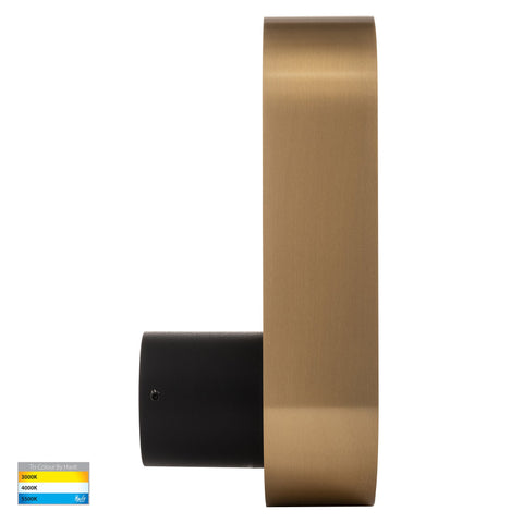 Ovale Black + Brass Wall Light - HV8080T-BLKBR