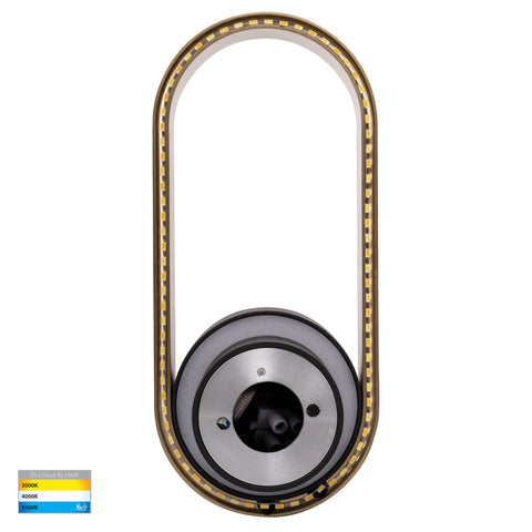 Ovale Black + Brass Wall Light - HV8080T-BLKBR