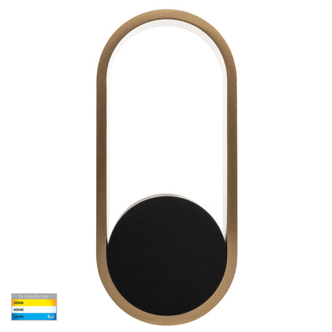Ovale Black + Brass Wall Light - HV8080T-BLKBR