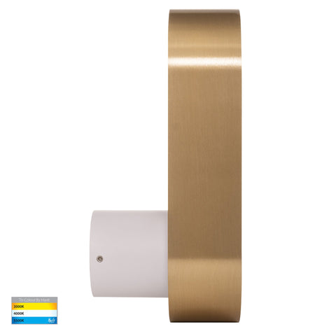 Ovale White + Brass Wall Light - HV8080T-WHTBR