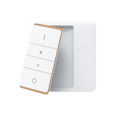 Wireless Wall Mounted Wall Switch - HV9253