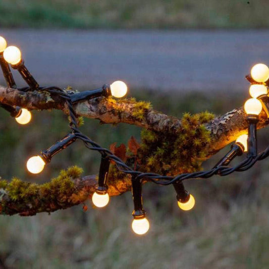 Berry Lights x300 LED Warm White 6m - 411348N