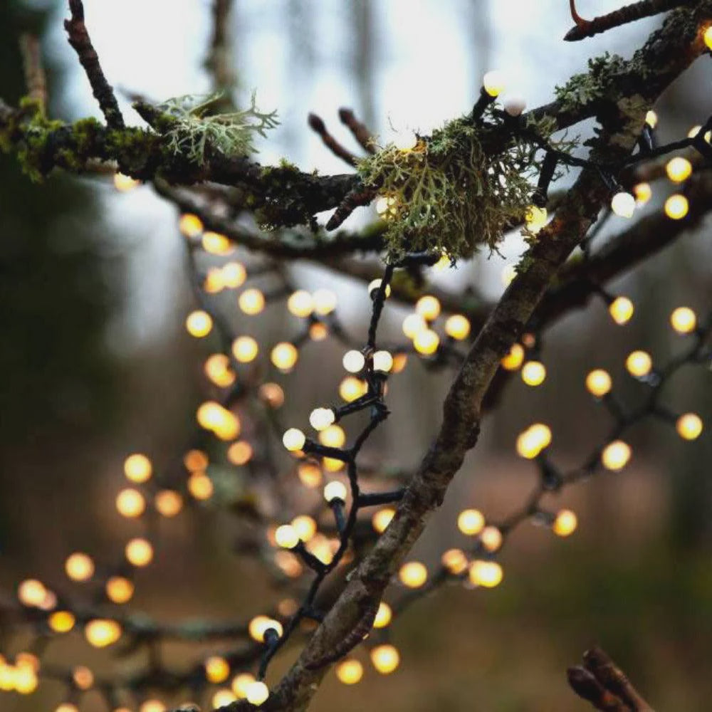 Berry Lights x700 LED Warm White 14m - 411351N - ARCK Electrical Wholesale Supplies