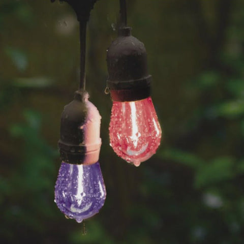 Solar Festoon 10 Lights 12V Black Plastic 2700K - 205717N - ARCK Electrical Wholesale Supplies