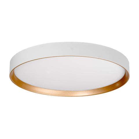Auster White & Gold Trim to suit HV5865S-WHT - HV5865-2-WHTGLD