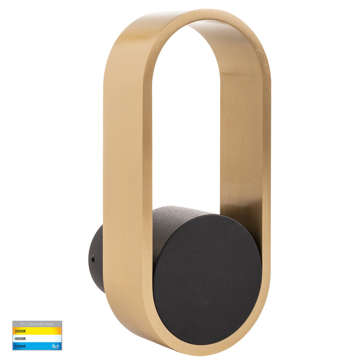 Ovale Black + Brass Wall Light - HV8080T-BLKBR