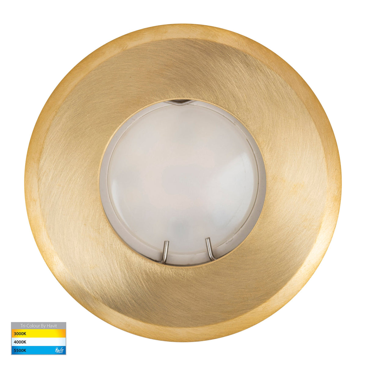 Ollo Brass TRI Colour LED Wall or Inground Light - HV19022T-BR