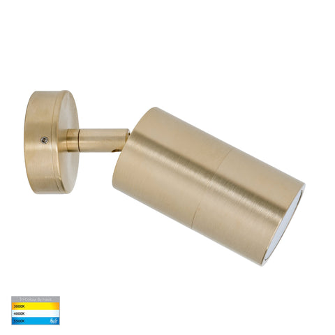 Tivah Solid Brass TRI Colour Single Adjustable Wall Pillar Lights - HV1255T