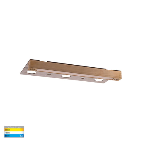 Preston Solid Brass LED Coping Light - HV3298T-BR-12V