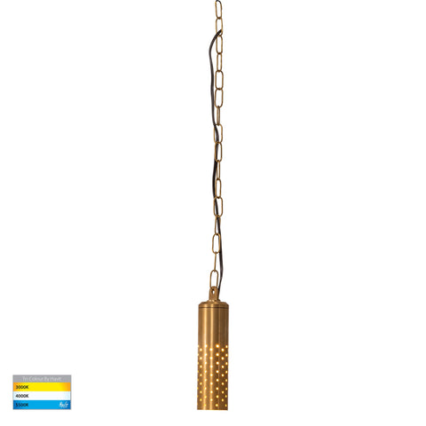 Willow Solid Brass LED Pendant - HV5901T-BR-12V