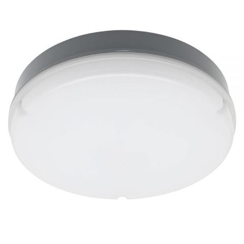 Swell LED Oyster Light