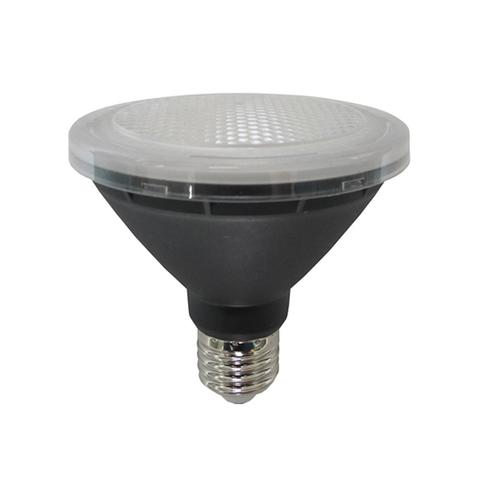 PAR30 LED Globe 10w 5000k Non-Dimmable