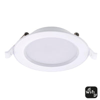 92mm Walter Downlight CCT - SMD4109W