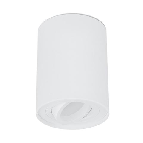 Surface Mounted Round Gimbal Downlight - SURFACE22-SURFACE23