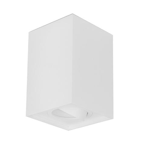 Surface Mounted Square LED Gimbal Downlight - SURFACE24