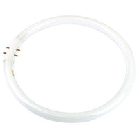 Fluorescent Tube T5 22 W Circular Triphosphor 5000K - NLS10182